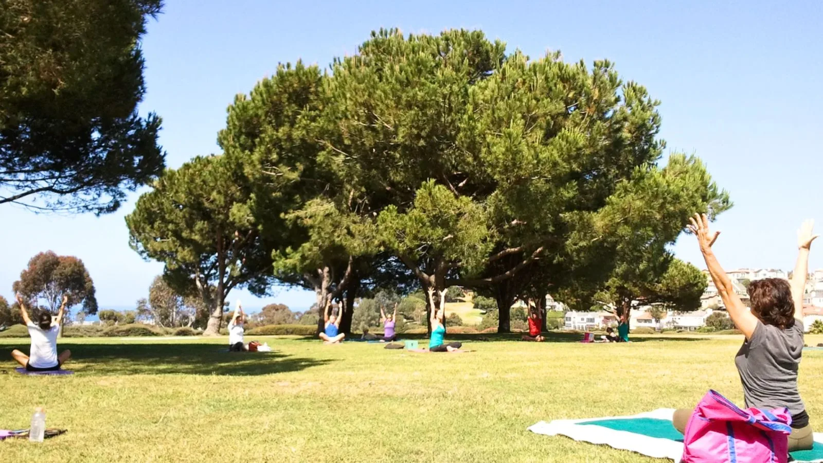 Lawn and shade trees at a park near the beach